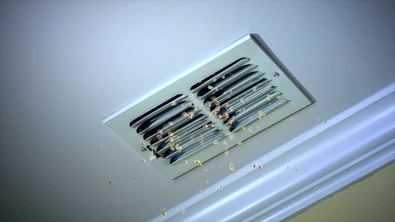 Best HVAC Duct Inspection Services  in Bagdad, FL