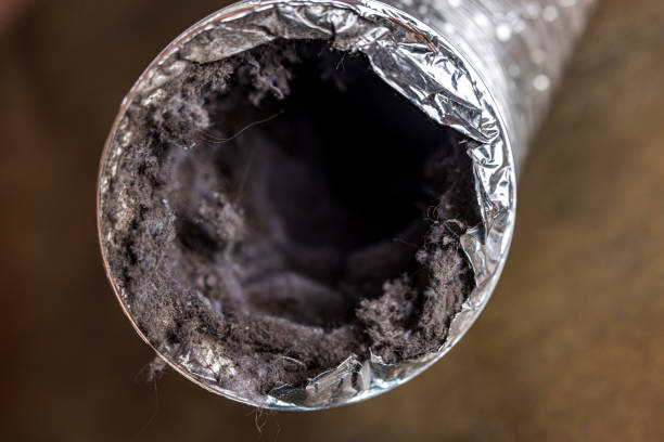 Best Professional Duct Cleaning Services  in Bagdad, FL